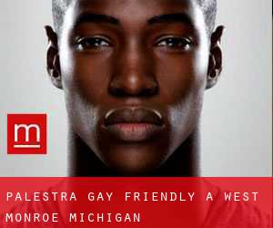 Palestra Gay Friendly a West Monroe (Michigan)