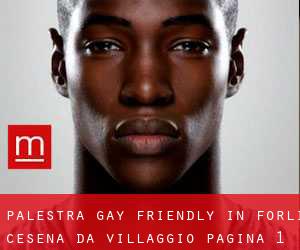 Palestra Gay Friendly in Forlì-Cesena da villaggio - pagina 1