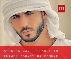 Palestra Gay Friendly in Lenawee County da comune - pagina 1