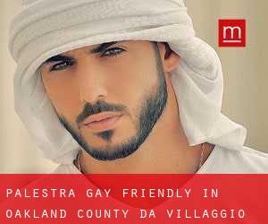 Palestra Gay Friendly in Oakland County da villaggio - pagina 1