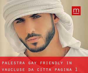 Palestra Gay Friendly in Vaucluse da città - pagina 1