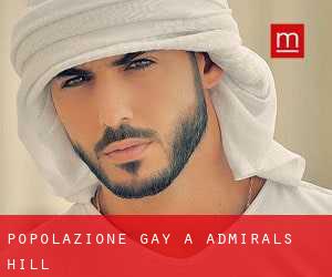 Popolazione Gay a Admirals Hill