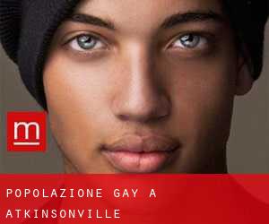 Popolazione Gay a Atkinsonville