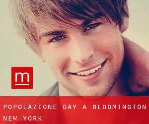 Popolazione Gay a Bloomington (New York)