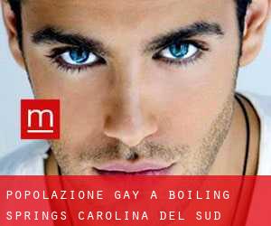 Popolazione Gay a Boiling Springs (Carolina del Sud)