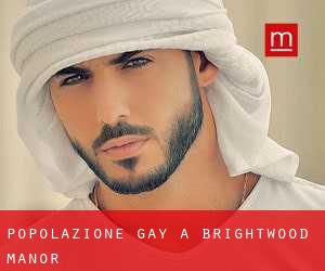 Popolazione Gay a Brightwood Manor