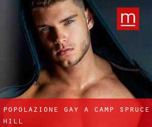 Popolazione Gay a Camp Spruce Hill