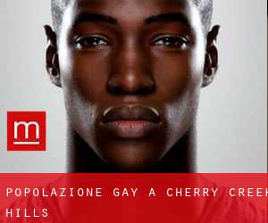 Popolazione Gay a Cherry Creek Hills