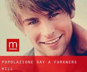 Popolazione Gay a Forkners Hill