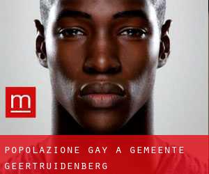 Popolazione Gay a Gemeente Geertruidenberg