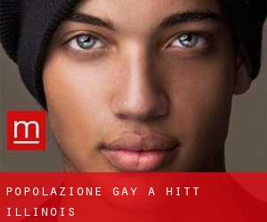 Popolazione Gay a Hitt (Illinois)