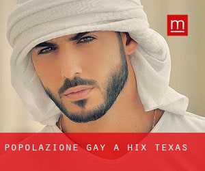 Popolazione Gay a Hix (Texas)