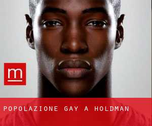 Popolazione Gay a Holdman