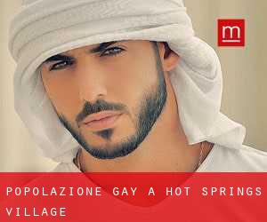 Popolazione Gay a Hot Springs Village