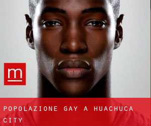 Popolazione Gay a Huachuca City