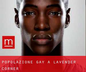 Popolazione Gay a Lavender Corner