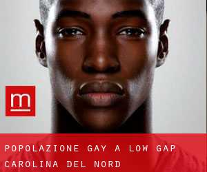 Popolazione Gay a Low Gap (Carolina del Nord)