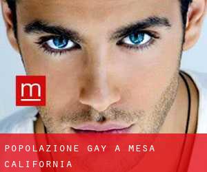 Popolazione Gay a Mesa (California)