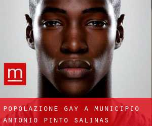 Popolazione Gay a Municipio Antonio Pinto Salinas