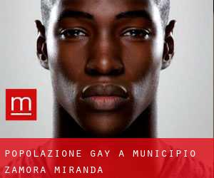 Popolazione Gay a Municipio Zamora (Miranda)