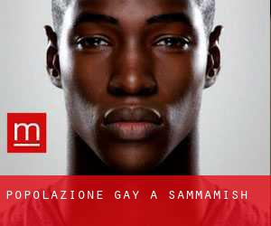 Popolazione Gay a Sammamish