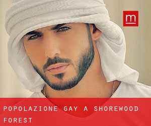 Popolazione Gay a Shorewood Forest