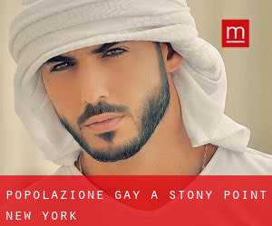 Popolazione Gay a Stony Point (New York)