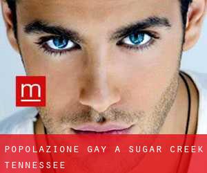 Popolazione Gay a Sugar Creek (Tennessee)