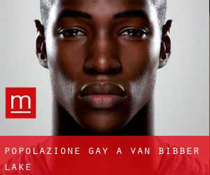 Popolazione Gay a Van Bibber Lake