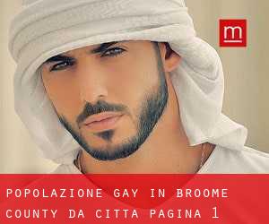 Popolazione Gay in Broome County da città - pagina 1