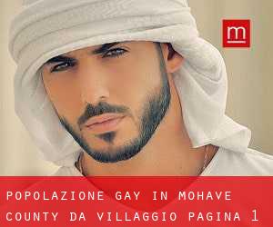 Popolazione Gay in Mohave County da villaggio - pagina 1
