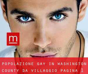 Popolazione Gay in Washington County da villaggio - pagina 1