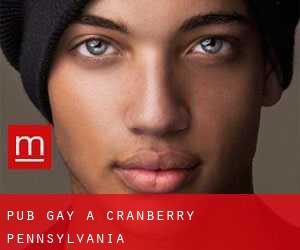 Pub Gay a Cranberry (Pennsylvania)