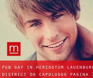 Pub Gay in Herzogtum Lauenburg District da capoluogo - pagina 1