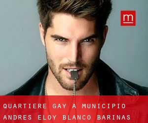 Quartiere Gay a Municipio Andrés Eloy Blanco (Barinas)