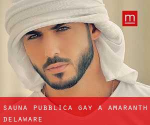 Sauna pubblica Gay a Amaranth (Delaware)