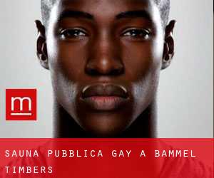 Sauna pubblica Gay a Bammel Timbers