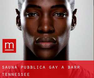 Sauna pubblica Gay a Barr (Tennessee)