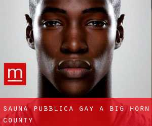 Sauna pubblica Gay a Big Horn County