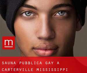 Sauna pubblica Gay a Carterville (Mississippi)