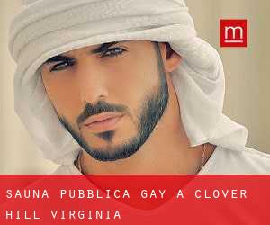 Sauna pubblica Gay a Clover Hill (Virginia)