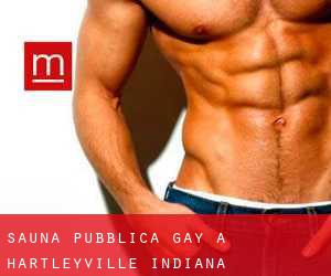 Sauna pubblica Gay a Hartleyville (Indiana)