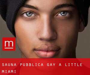 Sauna pubblica Gay a Little Miami