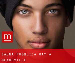 Sauna pubblica Gay a Mearsville