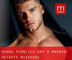 Sauna pubblica Gay a Morgan Heights (Missouri)