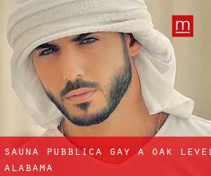 Sauna pubblica Gay a Oak Level (Alabama)