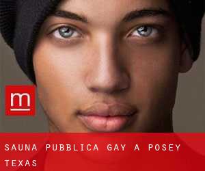 Sauna pubblica Gay a Posey (Texas)