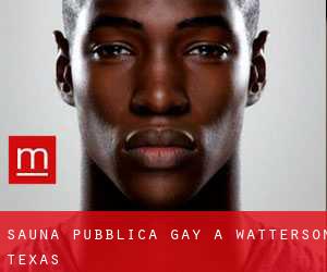 Sauna pubblica Gay a Watterson (Texas)