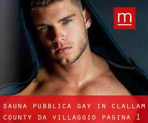 Sauna pubblica Gay in Clallam County da villaggio - pagina 1