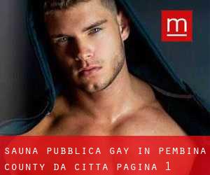 Sauna pubblica Gay in Pembina County da città - pagina 1